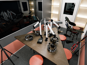Customizable Mobile Radio